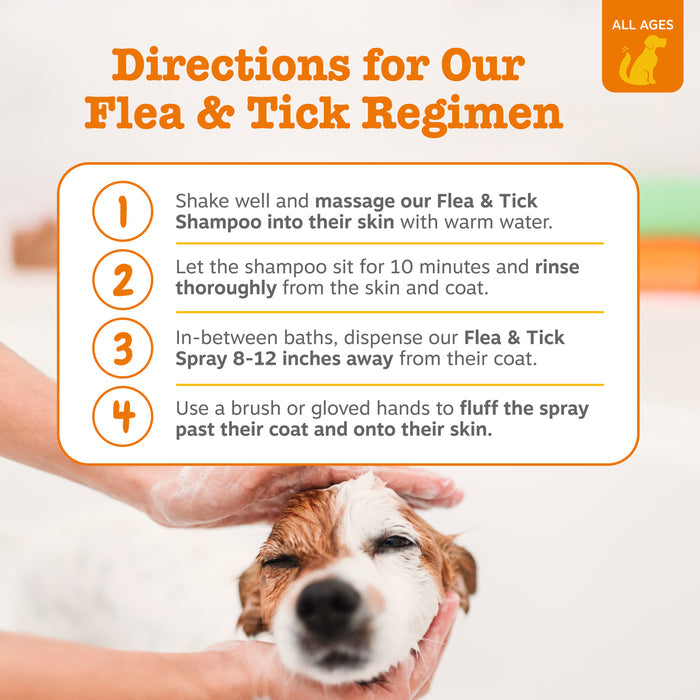 Hands massaging shampoo into brown and white dog's head with usage instructions displayed above.