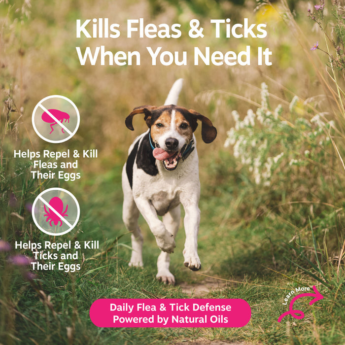 Flea & Tick Spray for Dogs