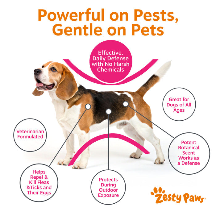 Flea & Tick Spray for Dogs