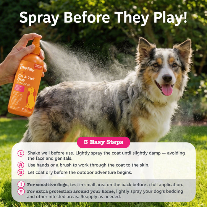 Flea & Tick Spray for Dogs