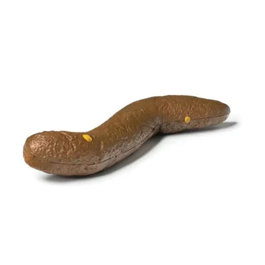 Floater Poop Prank