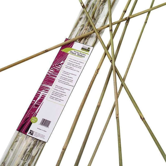 Gardners Blue Ribbon Bamboo Plant Stake 6ft (6pc)