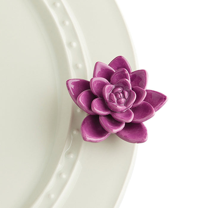 Get Growing - Nora Fleming Mini (Succulent)