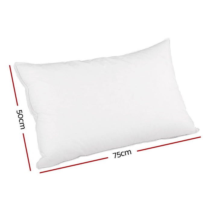 Giselle Bedding Goose Feather Down Pillow Luxury Twin Pack -Home Living Store - -