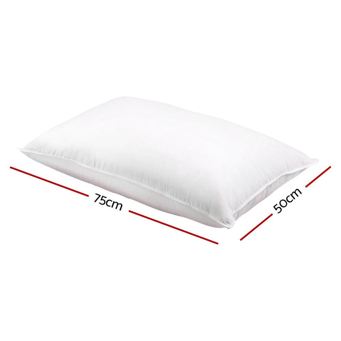 Giselle Bedding Goose Feather Down Pillow Twin Pack -Home Living Store - -