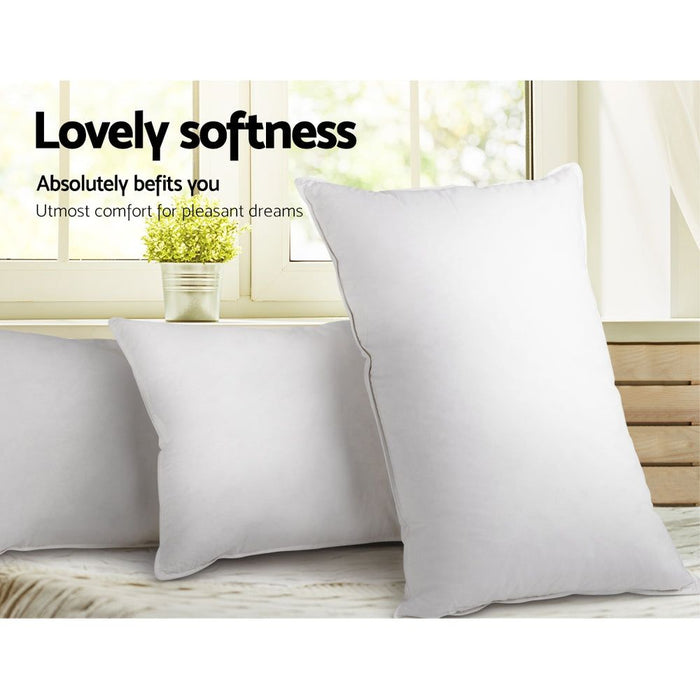 Giselle Bedding Goose Feather Down Pillow Twin Pack -Home Living Store - -