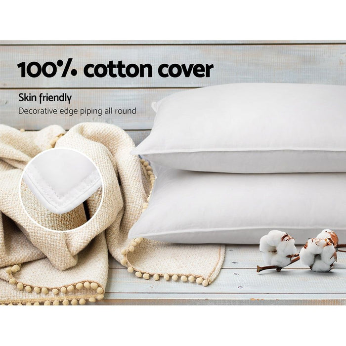 Giselle Bedding Goose Feather Down Pillow Twin Pack -Home Living Store - -