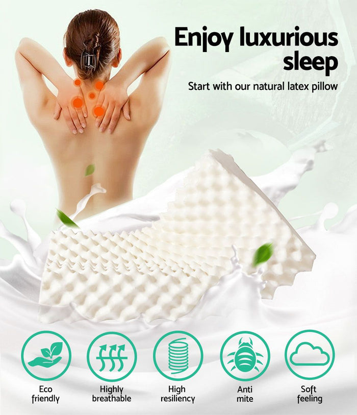 Giselle Bedding Natural Latex Pillow Twin Pack -Home Living Store - -