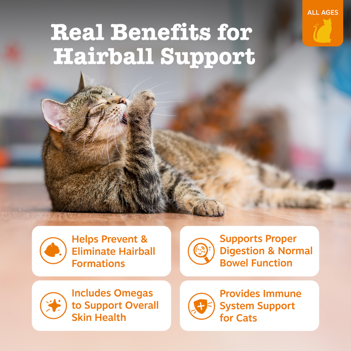 Tabby cat lying down looking upward with product benefit information displayed below.