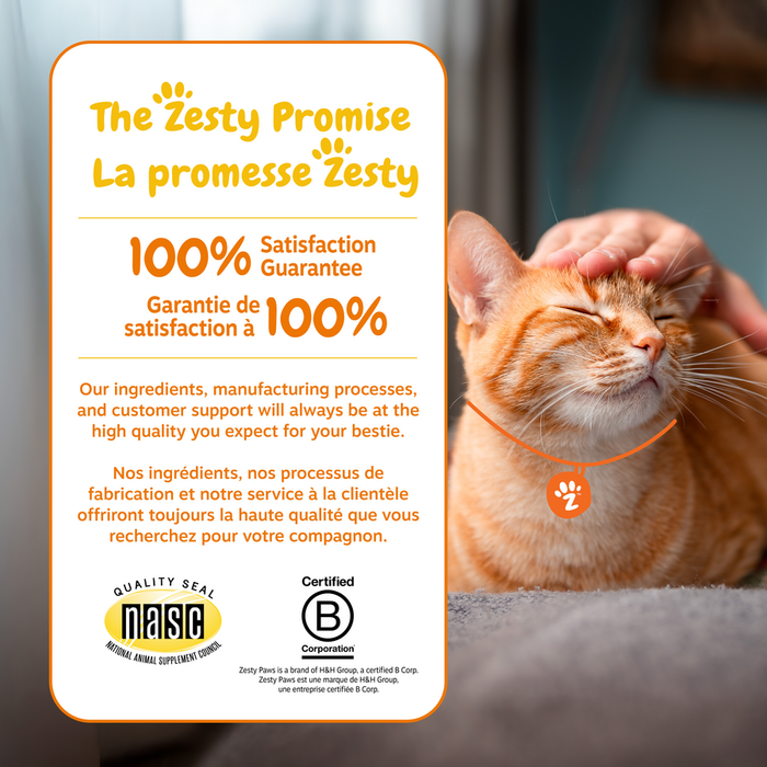 Orange tabby cat next to product packaging with "The Zesty Promise" satisfaction guarantee and certification logos.