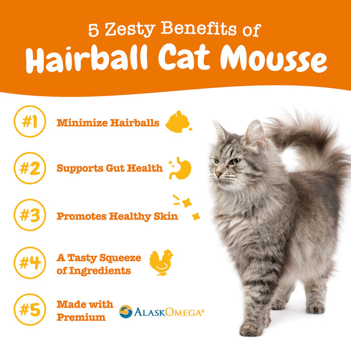 Gray and white long-haired cat standing against orange and white background with product benefits text.