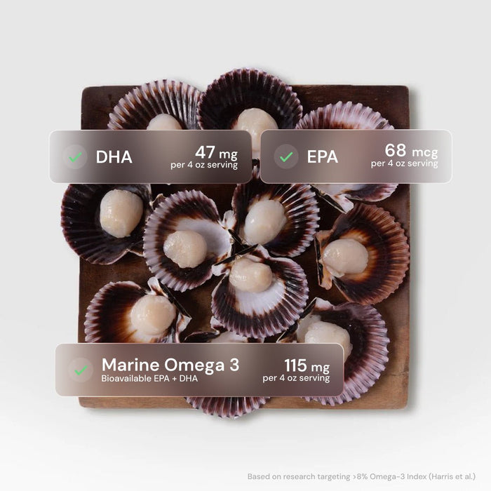 Half-Shell Scallops - SEATOPIA