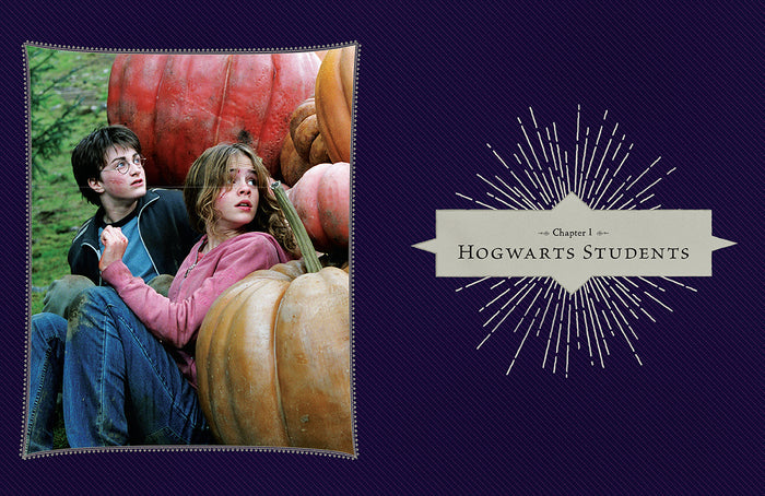 Harry Potter: Film Vault: Volume 4