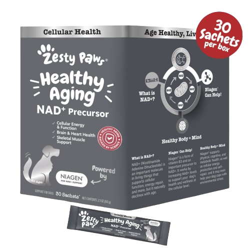 Zesty Paw Healthy Aging NAD+ Precursor Powder dog supplement package with sachets and product information.
