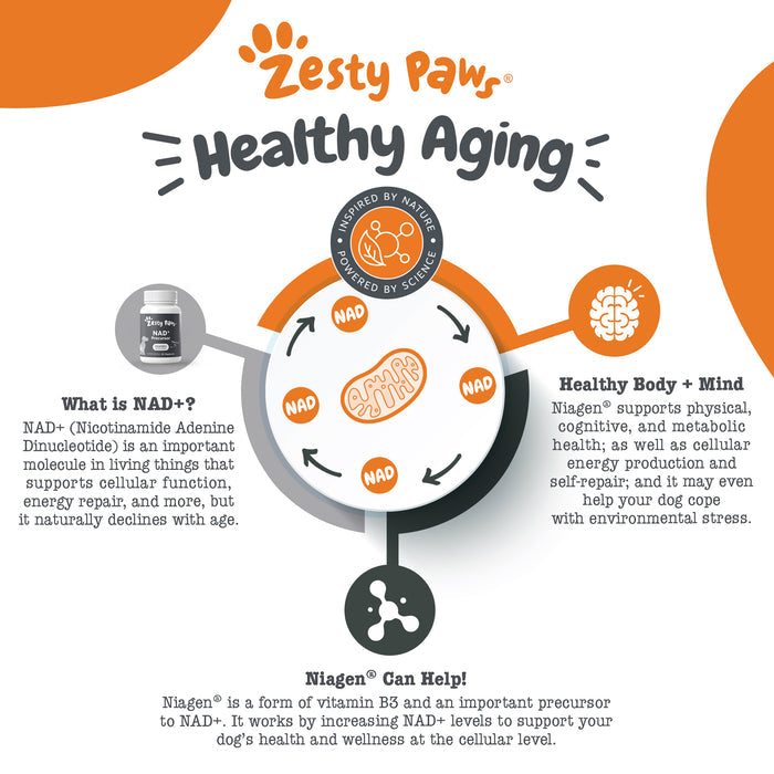 Zesty Paws Healthy Aging infographic showing NAD+ precursor powder benefits with Niagen ingredient and health claims.