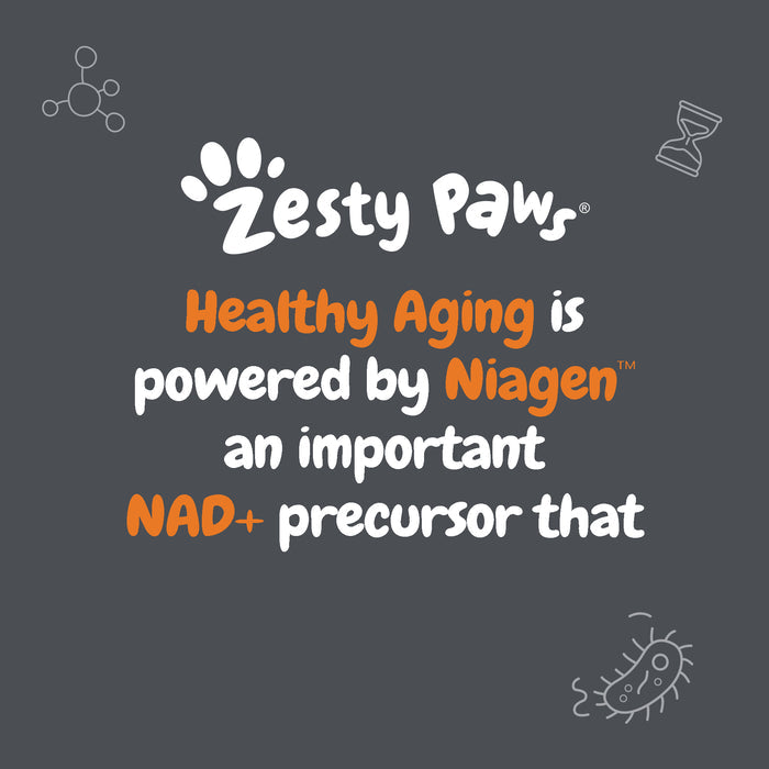 Zesty Paws logo with text about NAD+ precursor and Niagen, surrounded by molecular and hourglass icons on gray background.