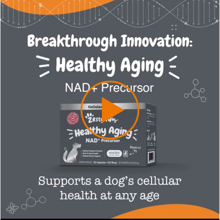 Black product box labeled "Healthy Aging NAD+ Precursor" with paw print logo and capsule count displayed on gray background w