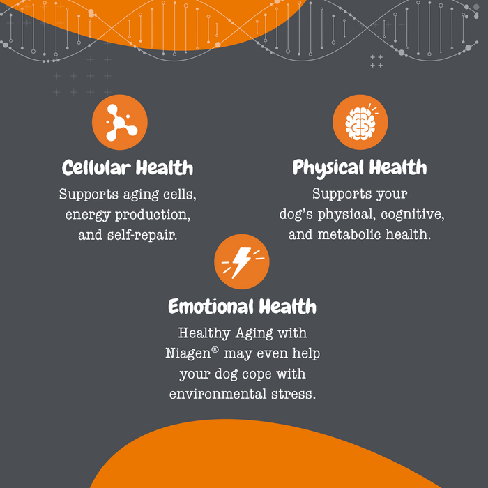 Infographic with DNA helix design showing three health categories: Cellular Health, Physical Health, and Emotional Health, ea