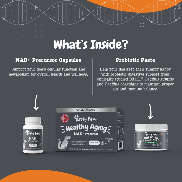 Three pet supplement products displayed: white capsule bottle labeled NAD+ Precursor, black box for Healthy Aging NAD+ Precur