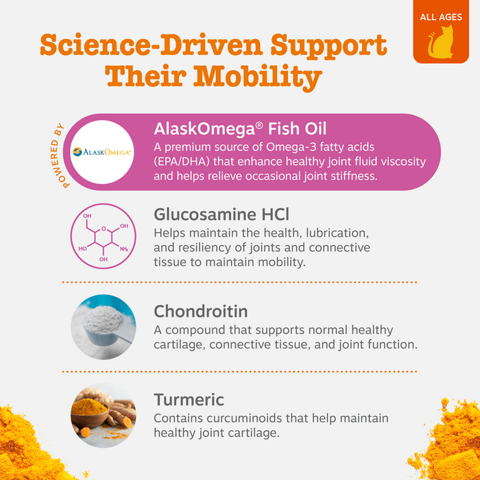 Infographic showing four joint support ingredients for cats: AlaskOmega Fish Oil, Glucosamine HCL, Chondroitin, and Turmeric
