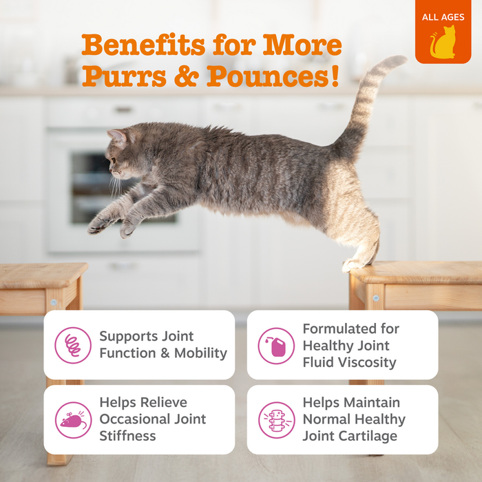 Gray and white tabby cat jumping between wooden platforms in a kitchen setting.