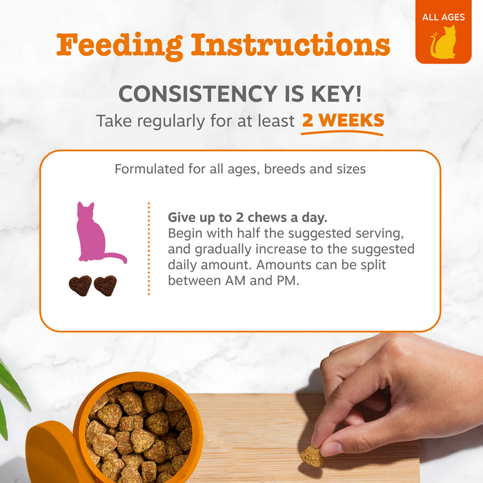 Feeding instructions card showing cat silhouette, heart-shaped treats, orange bowl with treats, and hand holding single treat