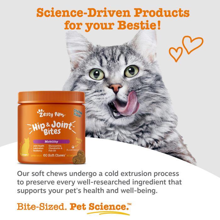 Orange bottle of Zesty Paw Hip & Joint Bites for cats with gray tabby cat and orange heart graphics.