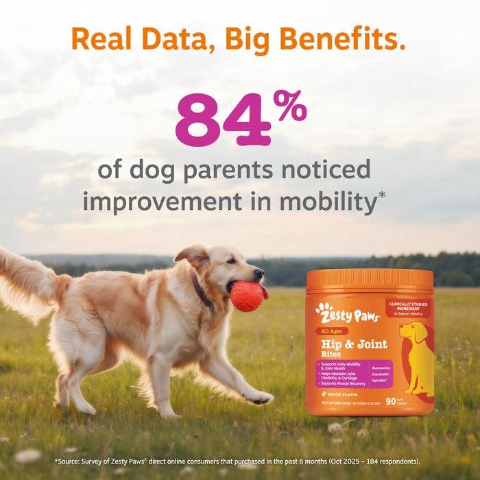 Orange Zesty Paws Hip & Joint Bites container next to a golden retriever holding a red ball in a grassy field.