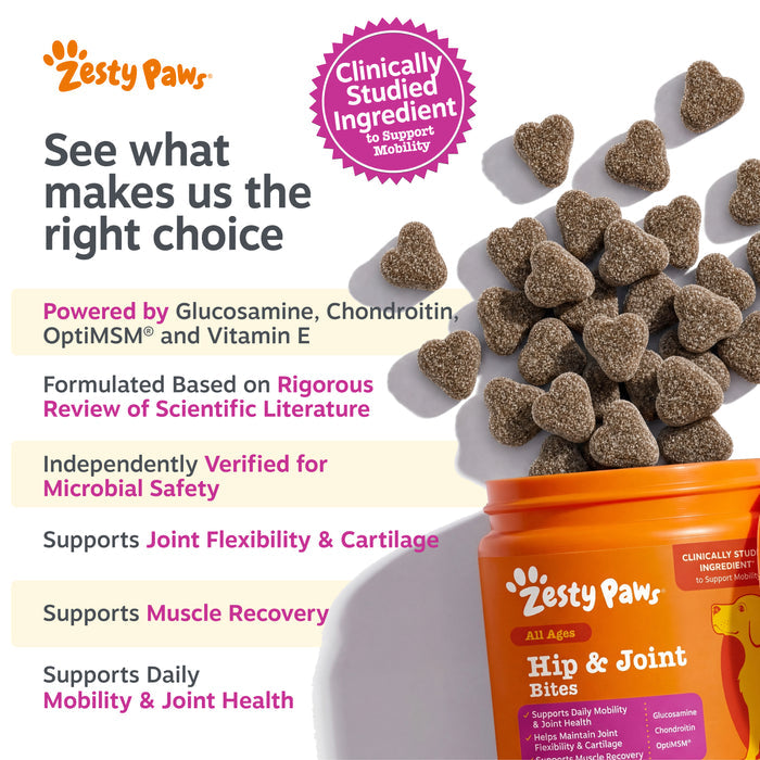 Zesty Paws Hip & Joint Bites dog treats in heart shapes spilling from orange bottle with product information.