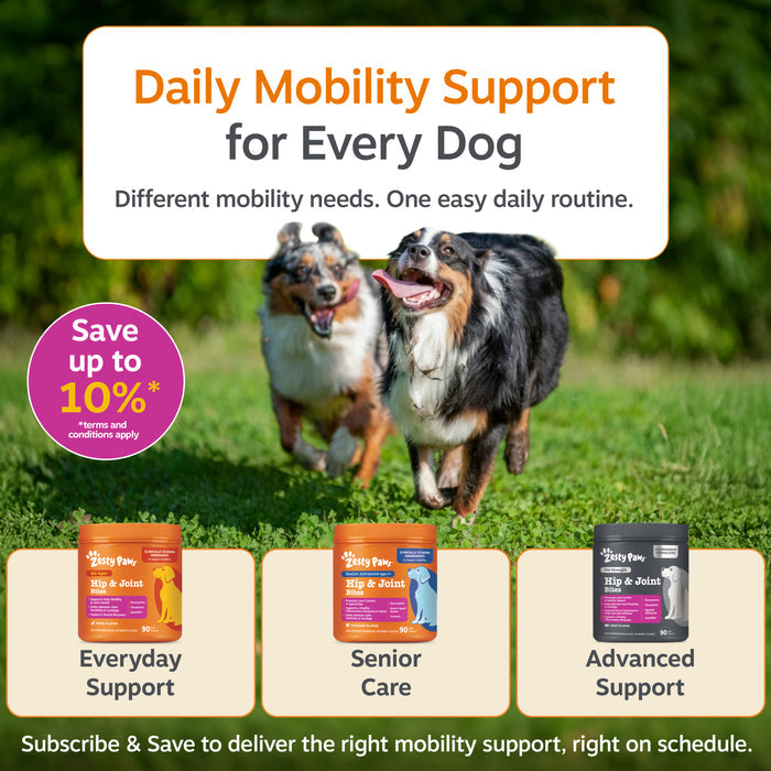 Three varieties of dog hip and joint supplement bites displayed with two dogs running on grass.