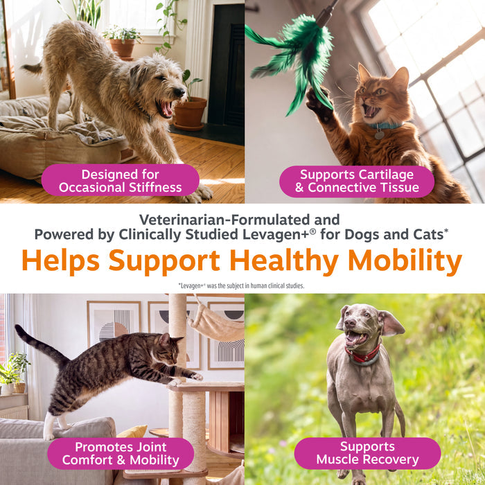 Hip & Joint Drops for Dogs & Cats
