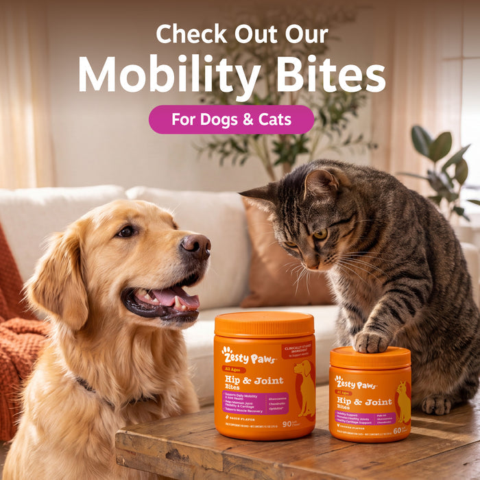 Hip & Joint Drops for Dogs & Cats