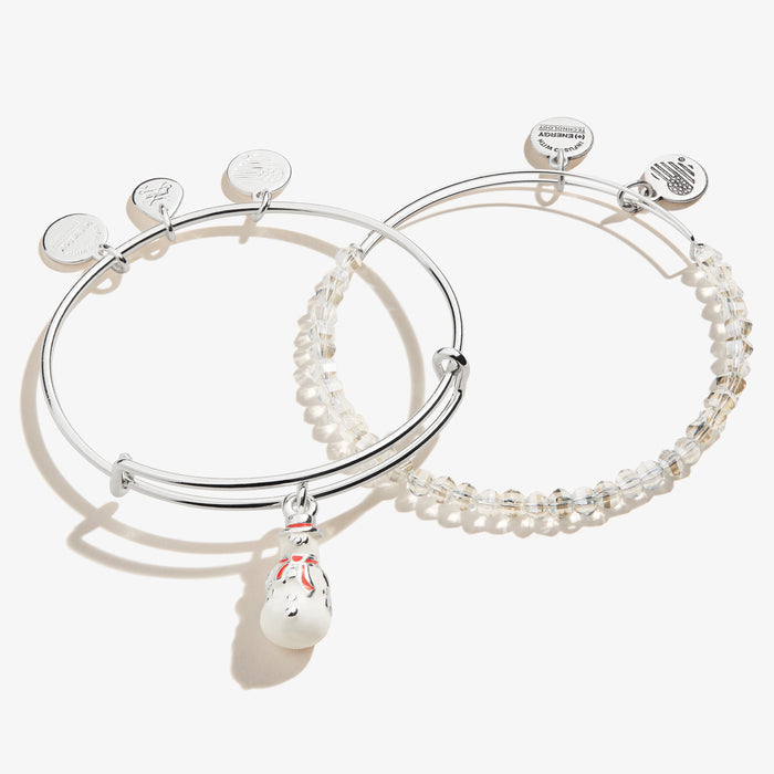 Shiny Silver