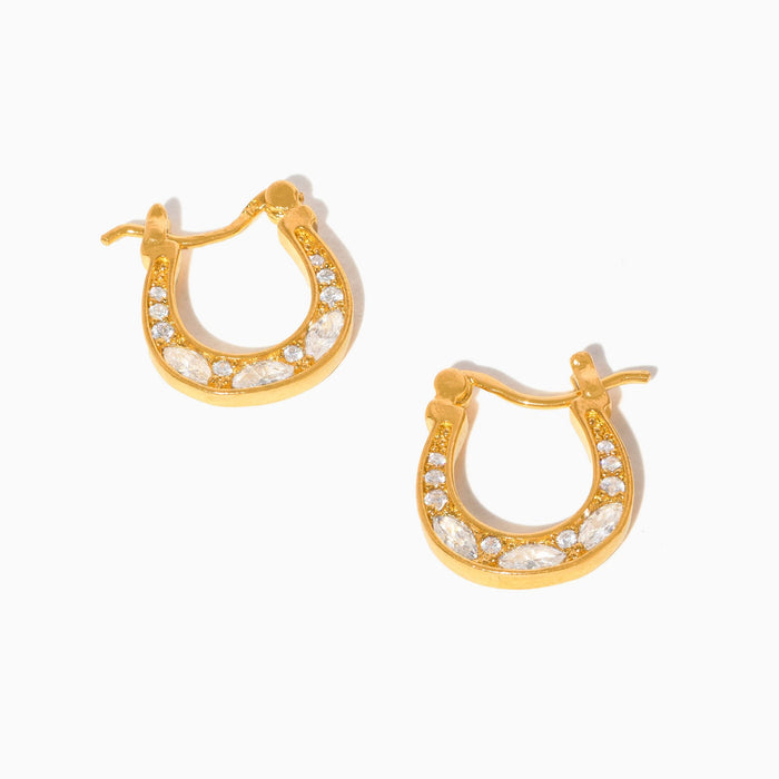 Horseshoe Hoops