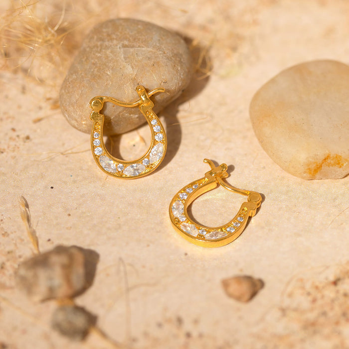 Horseshoe Hoops