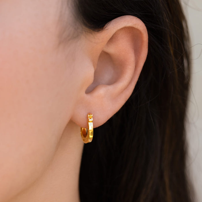 Horseshoe Hoops