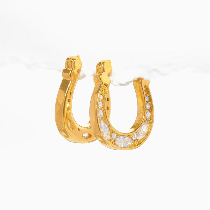 Horseshoe Hoops