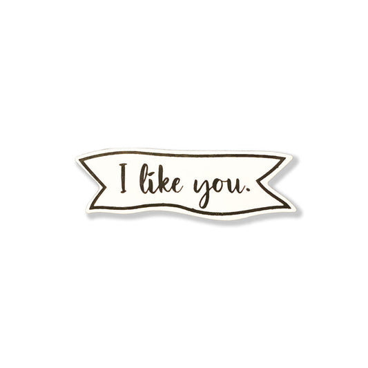 I Like You Magnet