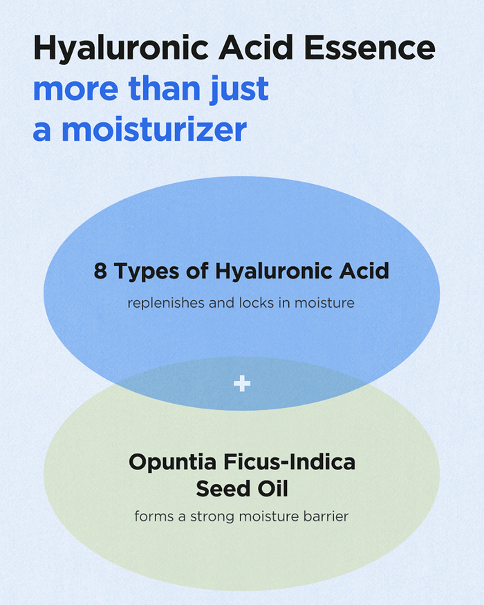 ISNTREE Hyaluronic Acid Water Essence (Renewal)