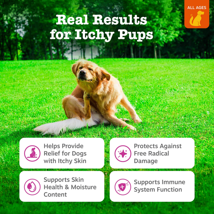Golden retriever sitting on grass with product benefit information displayed below.