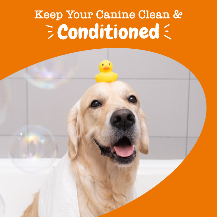 Light-colored dog with yellow rubber duck toy on head in bathroom setting with soap bubbles.