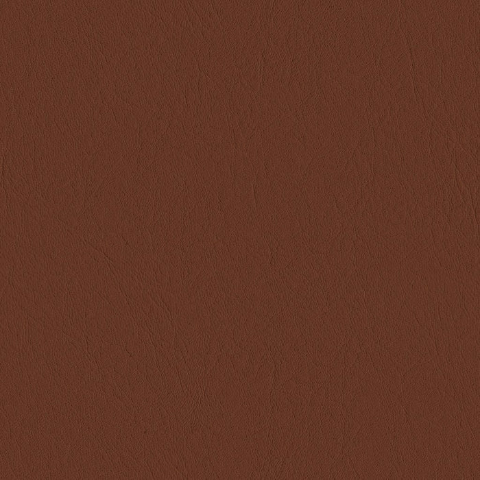 Leather Swatch - Thin - Sun at Six
