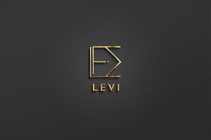 LEVI - Name Logo Design | Instant Download | Premade Logo | Minimalist Design