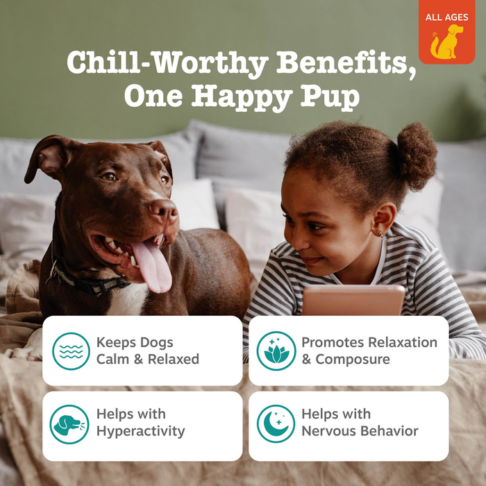 Brown dog with tongue out sitting next to child on couch, with benefit icons displayed below.