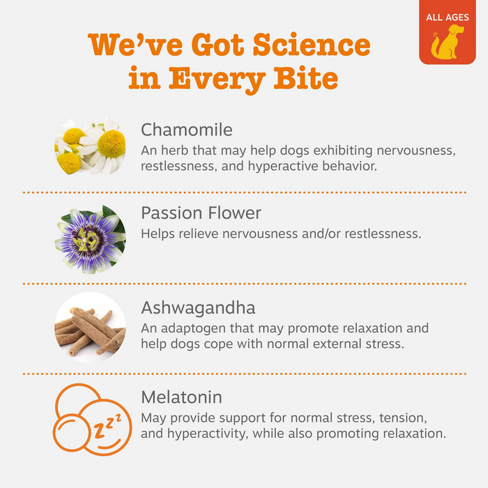 Infographic showing four ingredients: chamomile flowers, passion flower bloom, ashwagandha root pieces, and melatonin icon wi