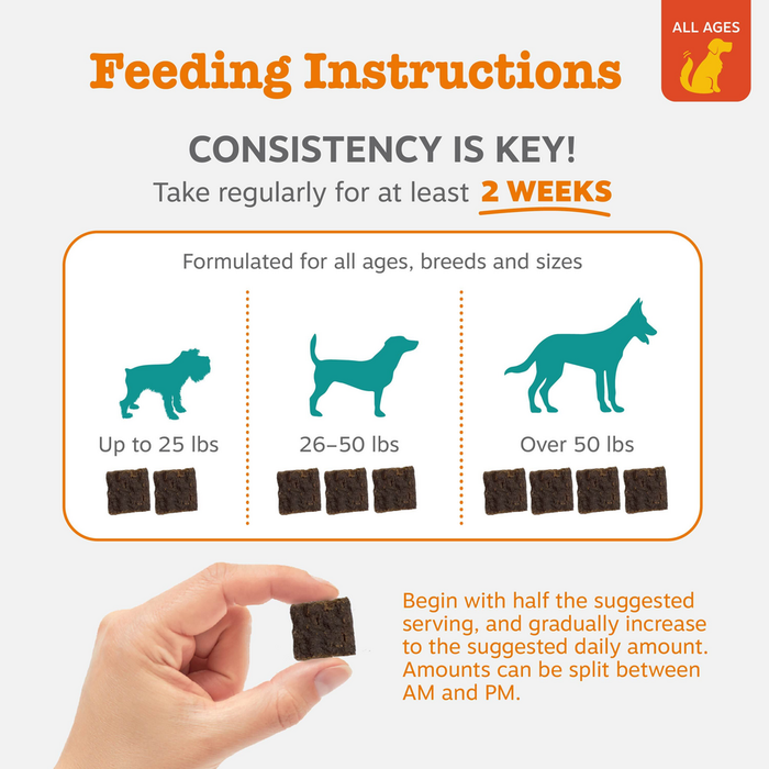 Feeding instructions chart showing dosage guidelines for dogs by weight with brown square treats and a hand holding one treat