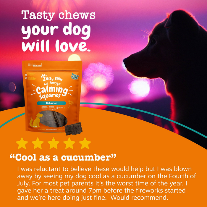 Orange pouch of Lil' Zesties Calming Squares dog treats with dark square chew visible beside it.