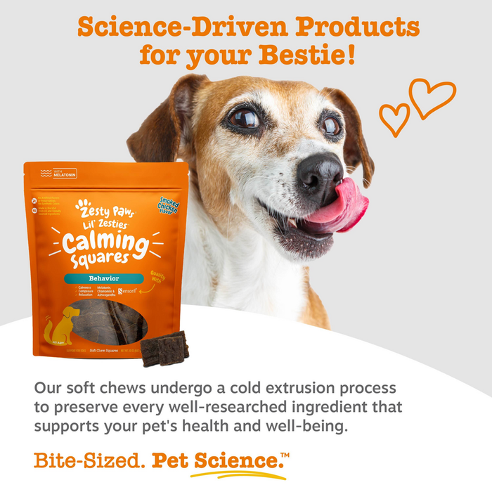 Orange resealable pouch of brown soft chew squares next to a tan and white dog with tongue out.