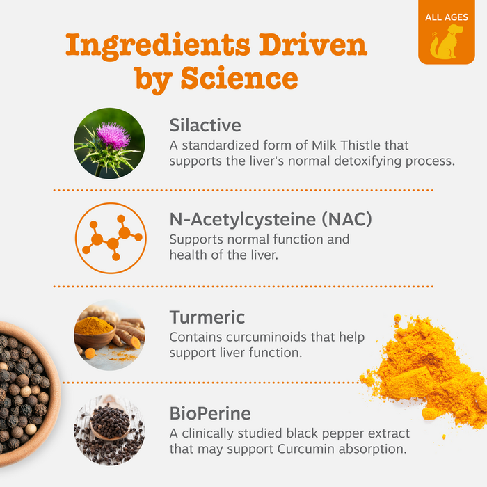 Ingredients chart showing Silactive milk thistle, N-Acetylcysteine, Turmeric, and BioPerine with descriptions and ingredient