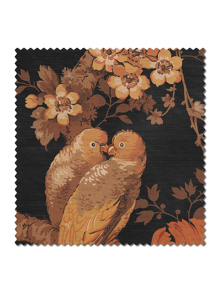 Lovebirds Black